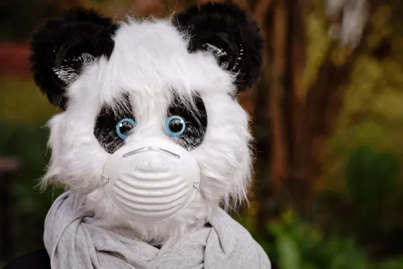 BitReels Casino Ondersteuning